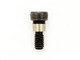 Quadra-Fire 1/4-20 x 5/16 Shoulder Bolt (223-0170)