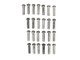 Quadra-Fire Castile & MT Vernon Rivets - 25 Pack (25272/25)