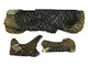 Heat N Glo and Quadra-Fire Log Assembly (LOGS-T2)