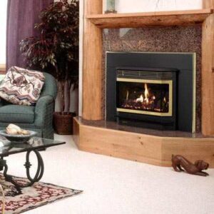Quadra-Fire Hudson Bay Insert